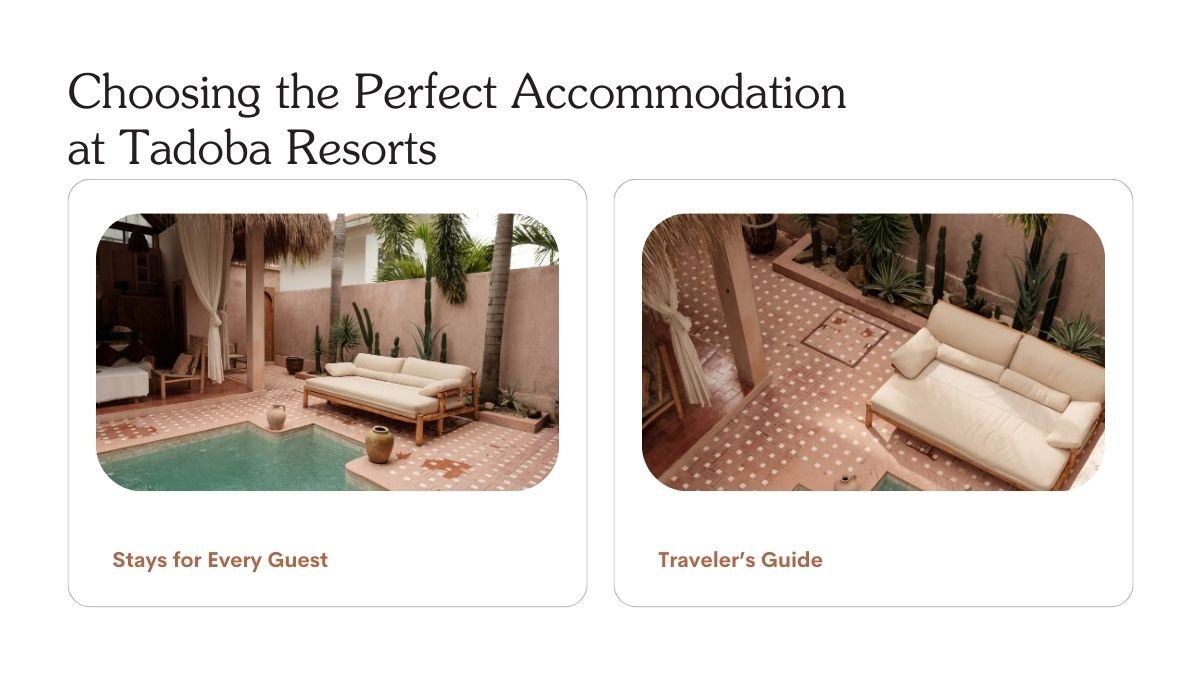 tadoba resorts stay guide, best accommodation in tadoba, tadoba safari resorts, tadoba national park resorts, how to choose tadoba resort, tadoba resorts tips,
