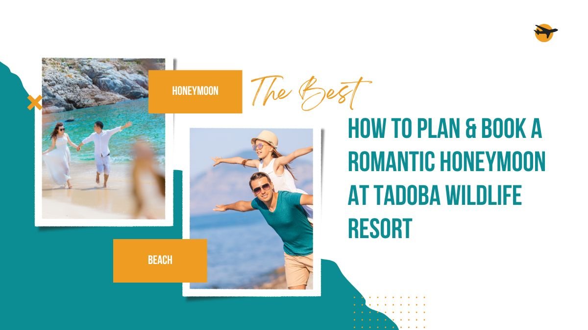 tadoba honeymoon, tadoba wildlife resort, honeymoon in tadoba, tadoba honeymoon booking, wildlife resort honeymoon, tadoba honeymoon packages, romantic trip tadoba, honeymoon travel tips tadoba, book tadoba resort, tadoba jungle honeymoontadoba honeymoon, tadoba wildlife resort, honeymoon in tadoba, tadoba honeymoon booking, wildlife resort honeymoon, tadoba honeymoon packages, romantic trip tadoba, honeymoon travel tips tadoba, book tadoba resort, tadoba jungle honeymoon