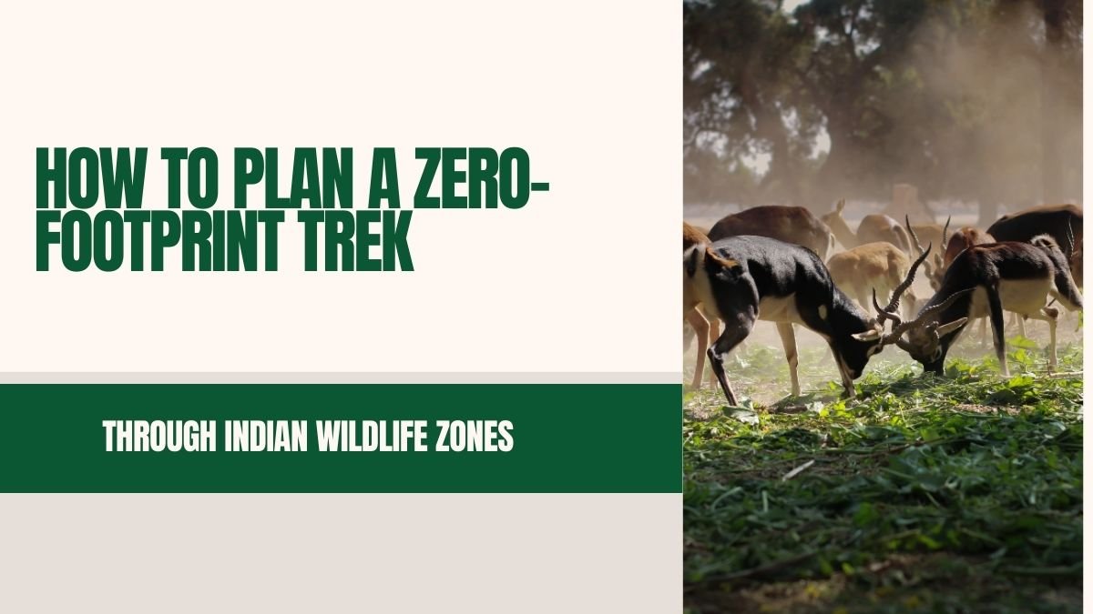 zero-footprint trek India, eco-friendly trekking, sustainable trekking India, wildlife trekking zones India, eco-tourism in India, green trekking practices, responsible travel India,