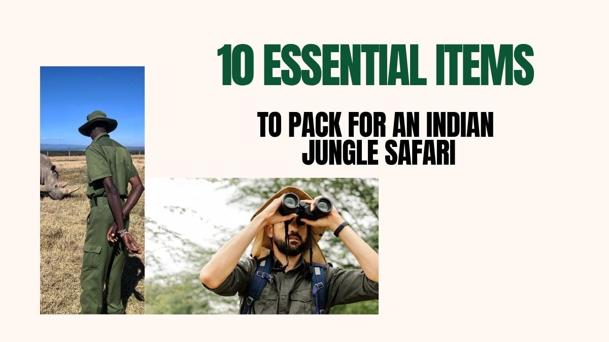 Indian jungle safari essentials, jungle safari packing list, safari travel checklist India, what to pack for Indian safari, jungle safari gear India, Indian safari must-have items,